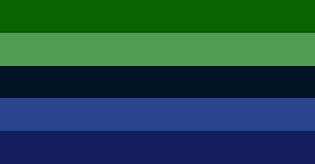 enasexual omniromantic flag